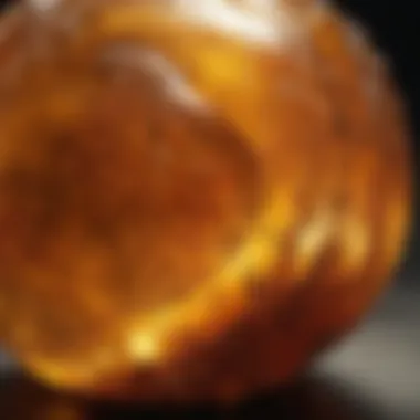 A stunning close-up of amber showcasing its natural inclusions.