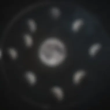Lunar Phases Overview Celestial diagram illustrating lunar phases