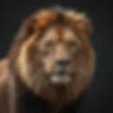 The majestic lion representing the zodiac sign Leo, symbolizing courage and leadership.