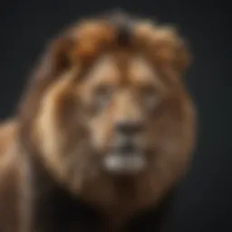 The majestic lion representing the zodiac sign Leo, symbolizing courage and leadership.