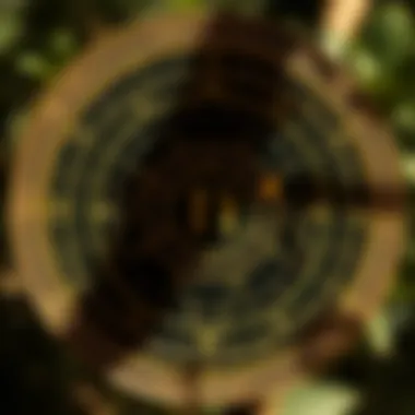 Astrological wheel showcasing planetary alignments at birth