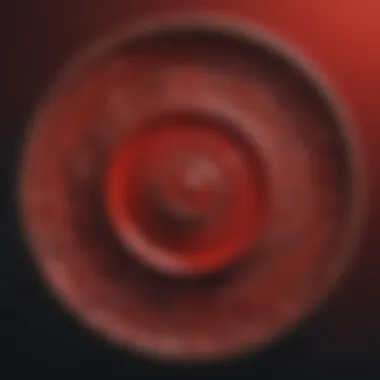 Color Palette of the Root Chakra Color palette associated with the root chakra